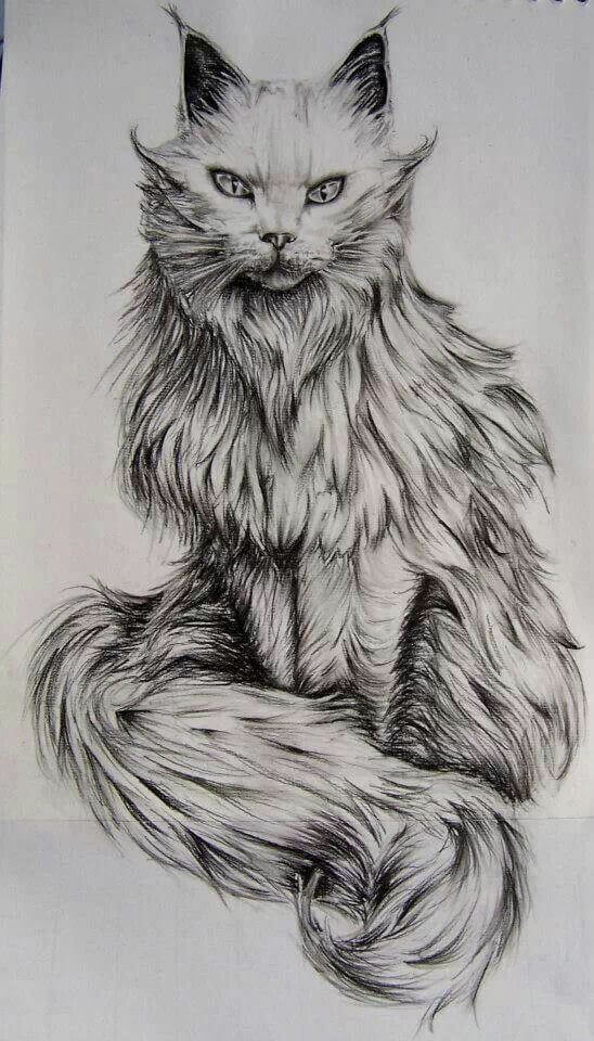 آموزش نقاشی سیاه قلم